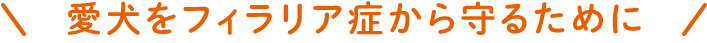 100%守れるから、安心して。