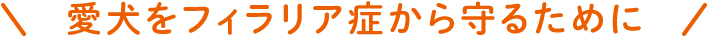 100%守れるから、安心して。